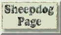 Sheepdog Page