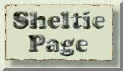 Sheltie Page