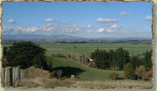 view middle paddock