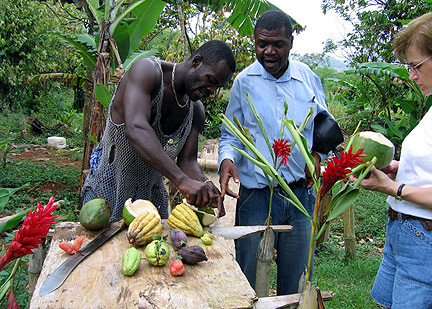 Ken explains traditional Jamaican foods to a tour
