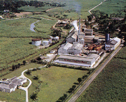 Aerial view of Appleton Rum Estate