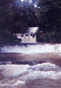 Y.S. Falls - scenic Jamaica at its most spectacular
