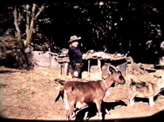 Bergie tells about chasing the cougar up the tree