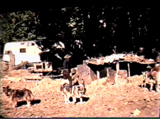 Bergie's home on the east bank of Sechelt Inlet