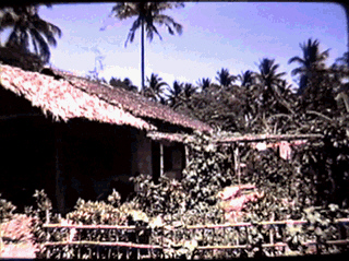 Mr. Terte was supposed to be operating in this residential house in Baguio City but I found an Australian woman there instead who said she was his student