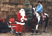 Merry Christmas!