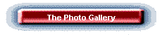 The Photo Gallery
