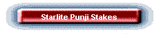Starlite Punji Stakes