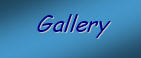 See lots of examples of our members' work