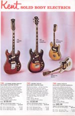How about the pick guard on the bass