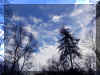 blueskies.jpg (33876 bytes)