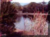 dorislake.jpg (33221 bytes)