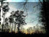 dusk2.jpg (36075 bytes)