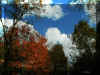 fall2001.jpg (28904 bytes)