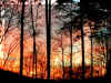 januarysunset.jpg (38591 bytes)