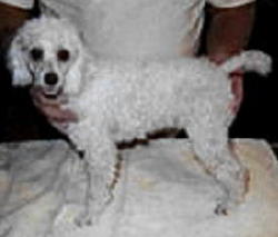 Ethel