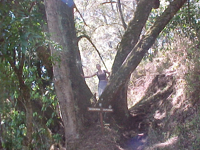 Mount Elgon National park igen...