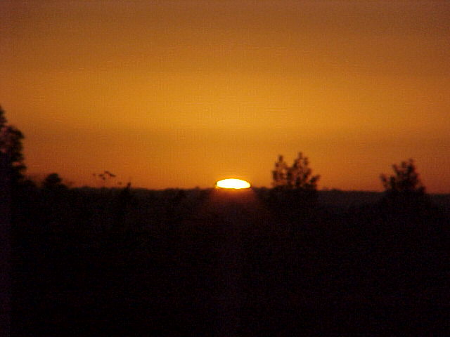 SOL!