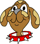 A Dog