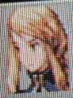 Agrias's Face