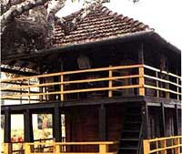 Wayanad