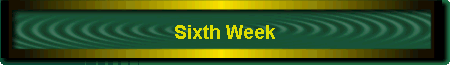 Sixth Week