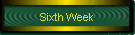 Sixth Week