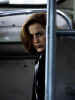 dana2.jpg (13816 bytes)