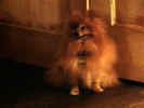 queequeg.jpg (14812 bytes)