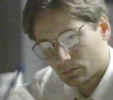 sexy.jpg (20422 bytes)
