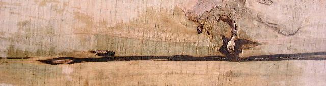 lembaran kayu timoho bergaris