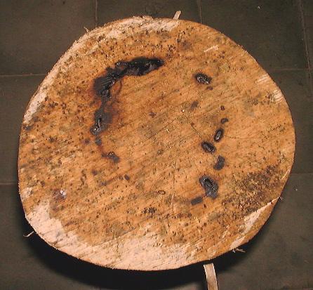 cross section