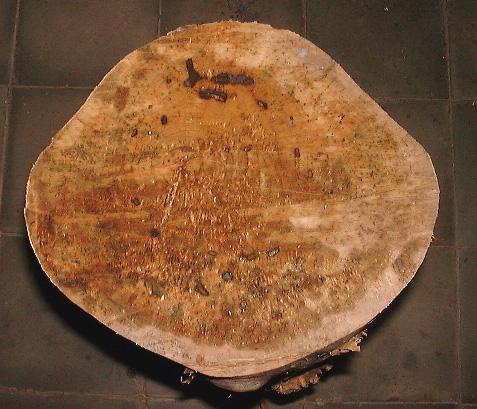 cross section