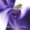 fly.jpg (133279 Byte)