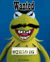 kermit3.jpg (99982 Byte)