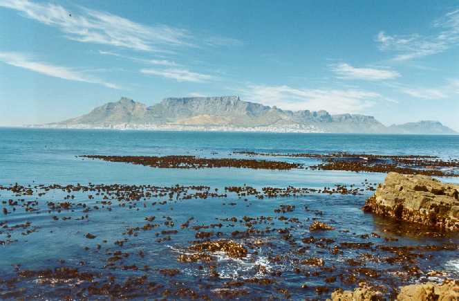 Cape Town from Robbin Is.jpg - 38362 Bytes