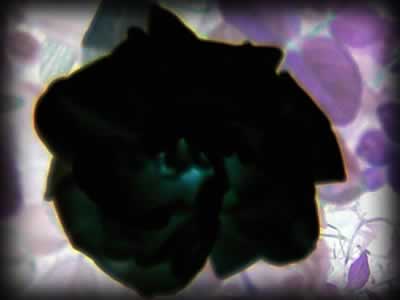 .::My Site::.