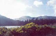 kerry cottage holidays - self catering accommodation