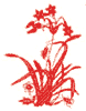 ququ.GIF (1634 bytes)