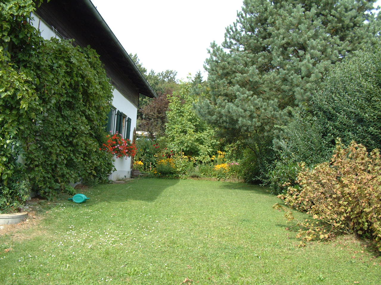 the garden