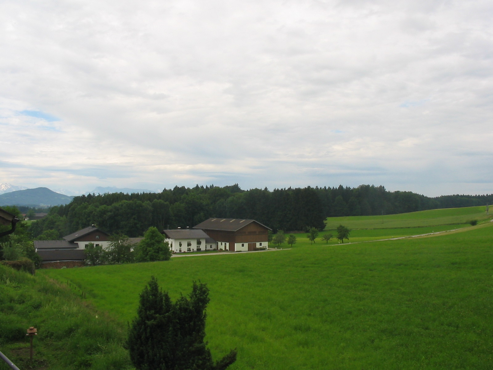 east side