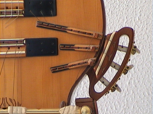 SYMPATHETIC STRINGS TUNED TO TASTE