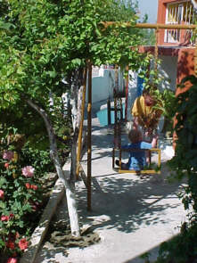 The Shady Garden
