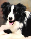 Jack