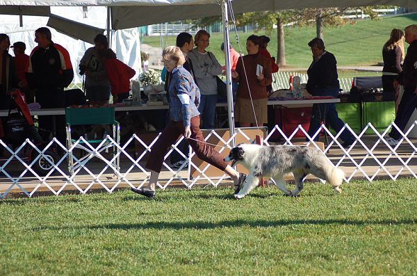 Luke, October 17, 2008