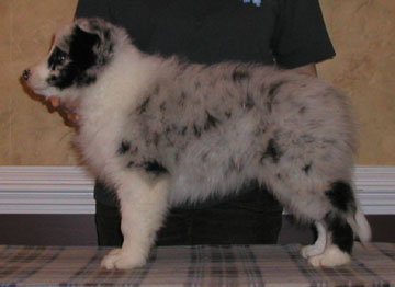 Boy One, Eight Weeks
