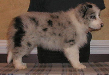 Boy One, Eight Weeks
