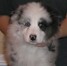 Boy Two, Eight Weeks