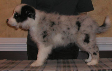 Boy Two, Eight Weeks