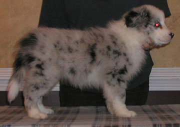 Boy Two, Eight Weeks
